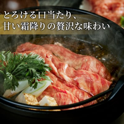 【9/1～9/30限定寄付金額】飛騨牛 ロースまたは肩ロース すき焼き・しゃぶしゃぶ用 360g