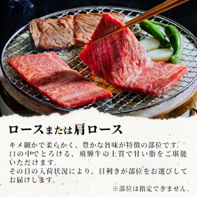 飛騨牛 ロースまたは肩ロース 焼肉用 600g