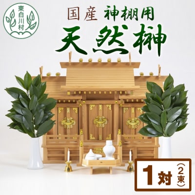 神棚用 国産榊 2束