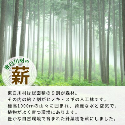 東濃ヒノキ薪 皮付き 中割～大割 約16kg