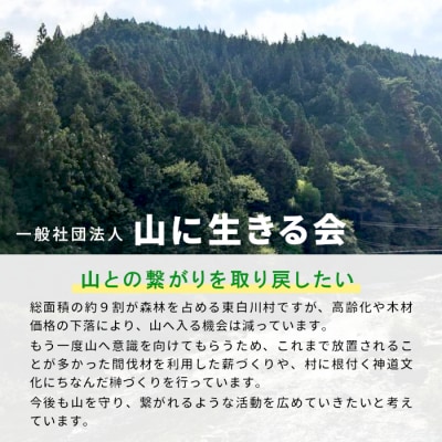 東濃ヒノキ薪 皮付き 中割～大割 約16kg