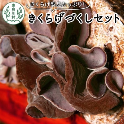 【3/15受付終了】 東白川村産 杜のきくらげづくしセット