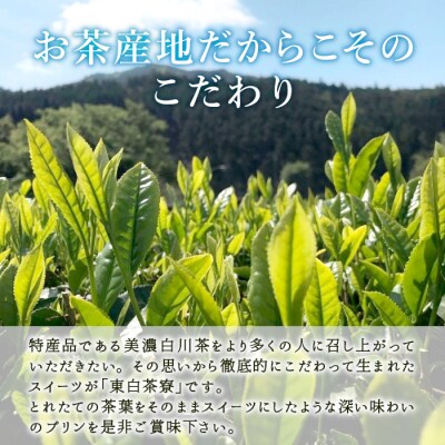 ほうじ茶プリン4種食べ比べ! 東白茶寮プリン 「焙」 6個セット