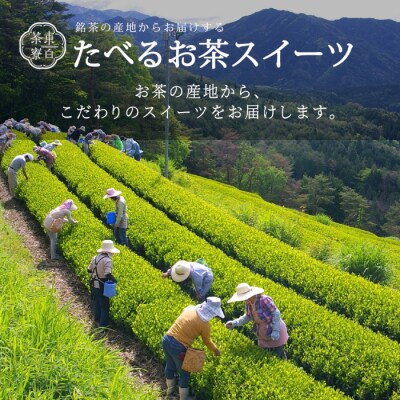 ほうじ茶プリン4種食べ比べ! 東白茶寮プリン 「焙」 6個セット