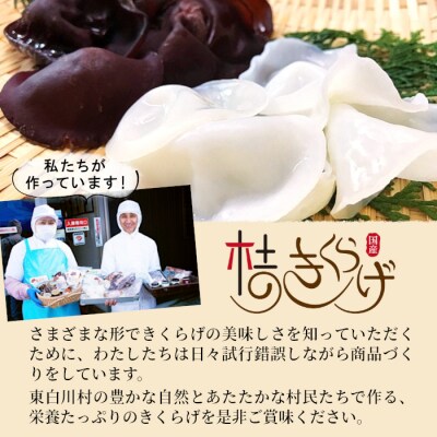 【3/15受付終了】 東白川村産 乾燥 きくらげ ホール お試し10g