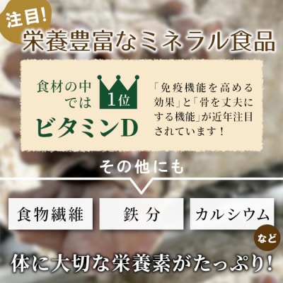 プレミアム!杜のきくらげづくしセット