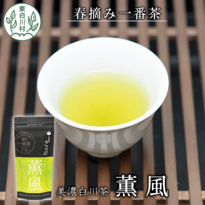 白川茶 茶蔵園 上煎茶 「薫風-くんぷう-」 煎茶