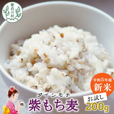 東白川村産 紫もち麦 ダイシモチ お試し 200g