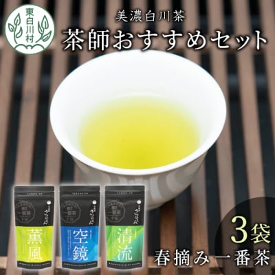 茶蔵園厳選 茶師のおすすめセット 3袋入 お茶 日本茶 緑茶 煎茶 春摘み一番茶 