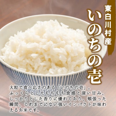 東白川村産 いのちの壱 白米 2合×3袋 合計900g