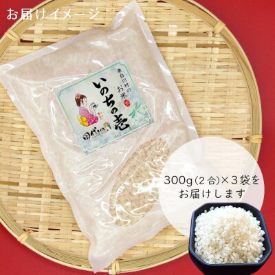 東白川村産 いのちの壱 白米 2合×3袋 合計900g