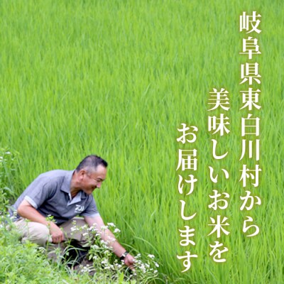 東白川村産 縁結び 白米 お試し2合 300g