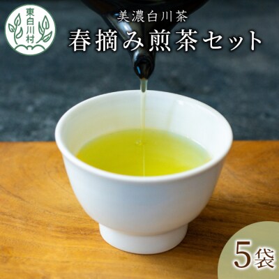 茶蔵園 春摘み煎茶セット (5袋入) お茶 日本茶 緑茶 煎茶