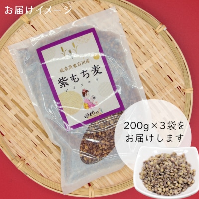 東白川村産 紫もち麦 ダイシモチ 200g×3袋