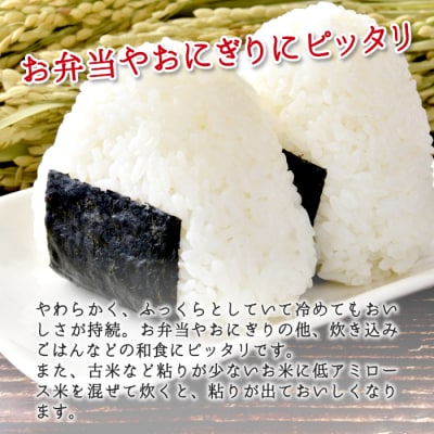 東白川村産 ミルキークイーン 白米 お試し 2合 300g