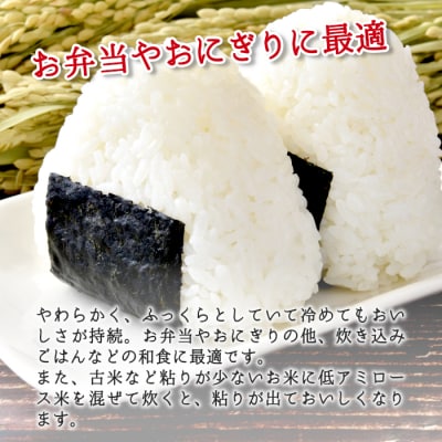 東白川村産 ミルキークイーン 白米 2合×3袋 900g