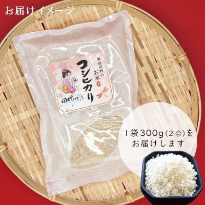 東白川村産 コシヒカリ 白米 お試し2合 300g