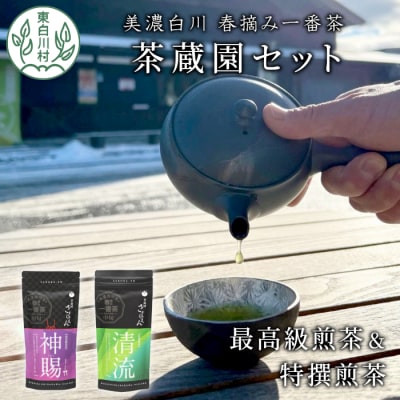 高級煎茶飲み比べ 茶蔵園セット 神賜 清流 お茶 白川茶 美濃白川茶