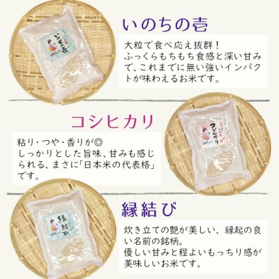 東白川村産 お米3銘柄食べ比べ 白米 お試し2合×3袋 合計900g