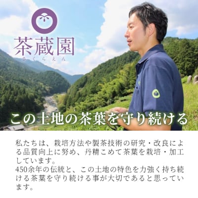 山の希少茶 美濃白川茶 本煎茶ペットボトル 24本 500ml