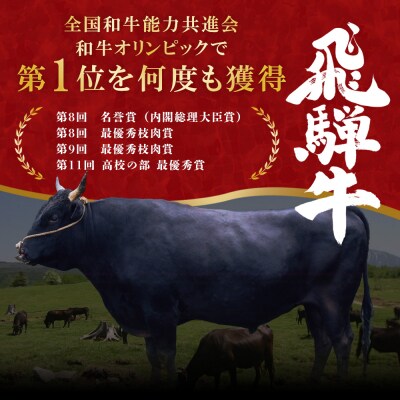 飛騨牛 切り落とし 560g A5等級 A4等級 肉のひぐち