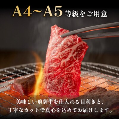 飛騨牛 BBQセット カルビ300g もも・カタ焼肉用400g 肉のひぐち