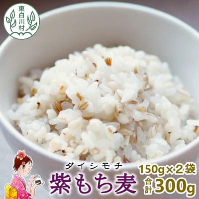 東白川村産 紫もち麦 ダイシモチ お試し 300g 150g×2袋