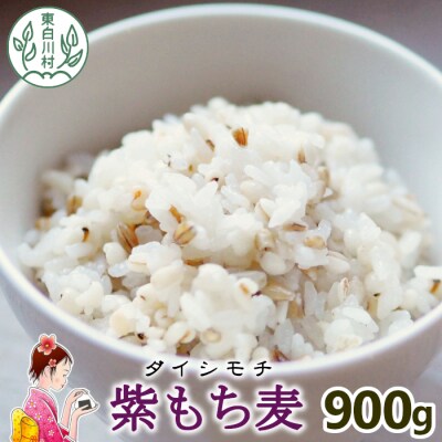 東白川村産 紫もち麦 ダイシモチ 900g 1袋 もち麦