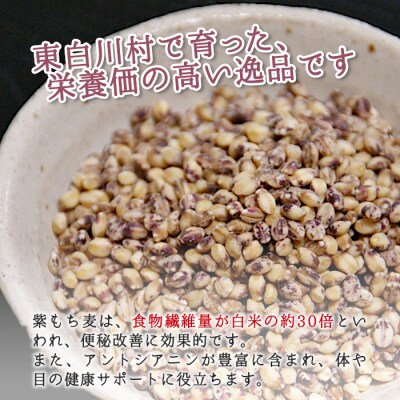東白川村産 紫もち麦 ダイシモチ 900g 1袋 もち麦