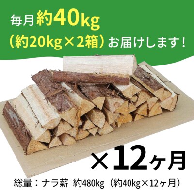 定期便 全12回 なら薪 中～大割 約40kg 計480kg 薪ストーブ アウトドア キャンプ