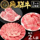 飛騨牛 定期便 全3回 計1.1kg 2人前 すき焼き しゃぶしゃぶ ステーキ 焼肉 牛 肉 牛肉