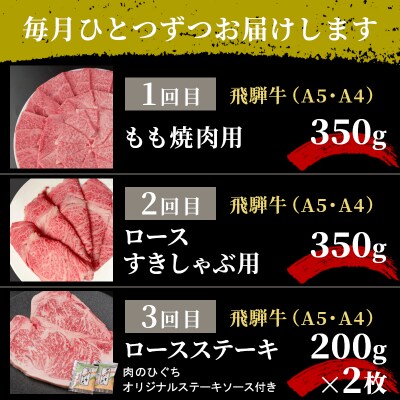 飛騨牛 定期便 全3回 計1.1kg 2人前 すき焼き しゃぶしゃぶ ステーキ 焼肉 牛 肉 牛肉