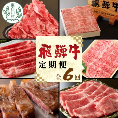 飛騨牛 定期便 全6回 A5等級 すき焼き しゃぶしゃぶ ステーキ 焼肉 牛肉 牛 肉 養老ミート