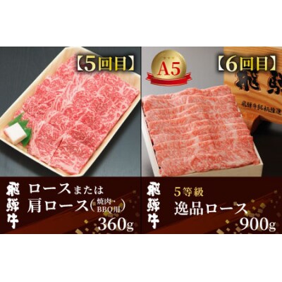 飛騨牛 定期便 全6回 A5等級 すき焼き しゃぶしゃぶ ステーキ 焼肉 牛肉 牛 肉 養老ミート