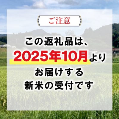 【令和7年産・先行受付】令和7年産 新米 コシヒカリ 五分つき米 約4.5kg 岐阜県 東白川村産