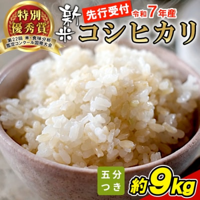 【令和7年産・先行受付】令和7年産 新米 コシヒカリ 五分つき米 約9kg 岐阜県 東白川村産