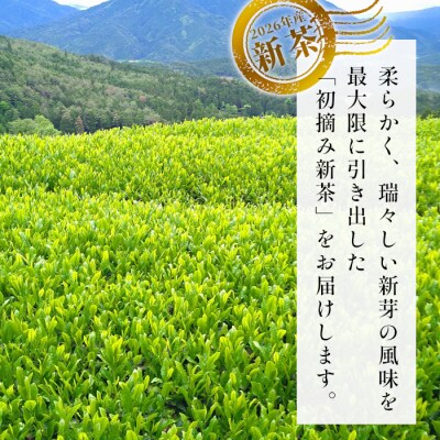 【2026年産新茶予約品】初摘み新茶 50g 煎茶 東白川村産 美濃白川茶 茶葉
