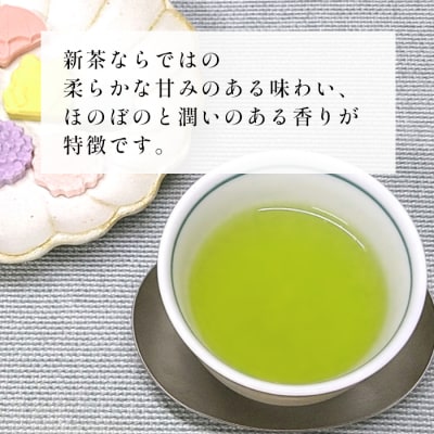 【2026年産新茶予約品】初摘み新茶 50g 煎茶 東白川村産 美濃白川茶 茶葉