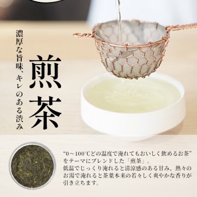 【定期便6回】ティーバッグ3種セット 煎茶 ほうじ茶 和紅茶 お茶  東白川村産 茶淹 美濃加茂茶舗