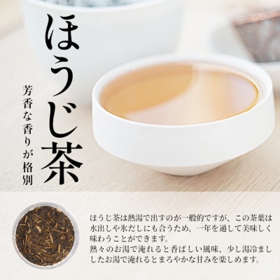 【定期便6回】ティーバッグ3種セット 煎茶 ほうじ茶 和紅茶 お茶  東白川村産 茶淹 美濃加茂茶舗