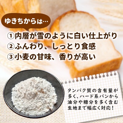 岐阜県 東白川村産 強力粉 小麦粉 ゆきちから 1kg