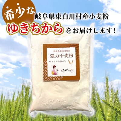 岐阜県 東白川村産 強力粉 小麦粉 ゆきちから 1kg