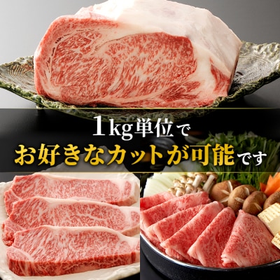 お好きなカット可能! 飛騨牛 サーロインブロック 5kg