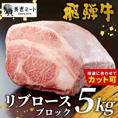 お好きなカット可能! 飛騨牛 リブロースブロック 5kg