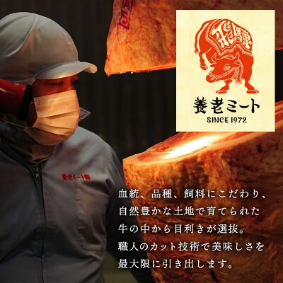 お好きなカット可能! 飛騨牛 リブロースブロック 5kg