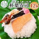 朴葉寿司 12個 (おばちゃんの店 白川茶屋) 寿司 鮭 郷土料理 朴葉 山菜