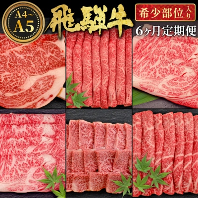 飛騨牛 希少部位 定期便 全6回 計1.86kg 2人前相当 すき焼き 焼肉 牛 肉のひぐち