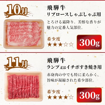 飛騨牛 希少部位 定期便 全6回 計1.86kg 2人前相当 すき焼き 焼肉 牛 肉のひぐち