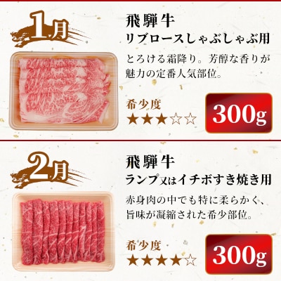 飛騨牛 希少部位 定期便 全6回 計1.86kg 2人前相当 すき焼き 焼肉 牛 肉のひぐち
