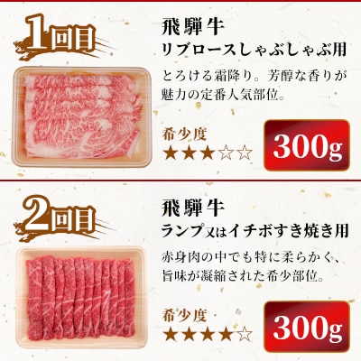 飛騨牛 希少部位 定期便 全6回 計1.86kg 2人前 肉のひぐち【7月発送開始】